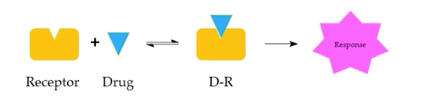 The receptor theory